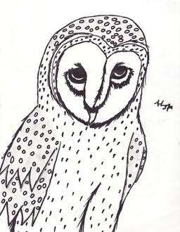 - Pre-2009, Owl -